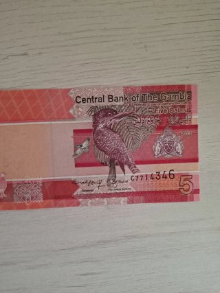 Billete  gambia