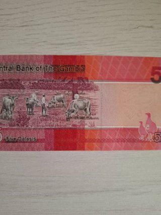 Billete  gambia