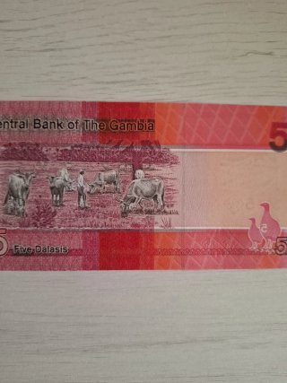 Billete  gambia