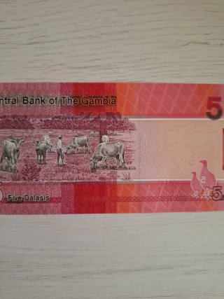 Billete  gambia