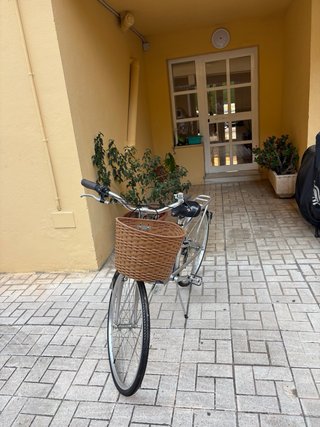 Bicicleta Paseo Monti