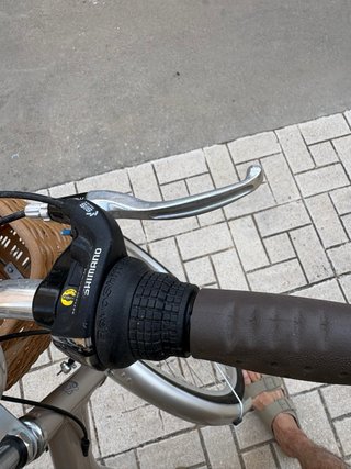Bicicleta Paseo Monti