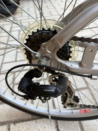 Bicicleta Paseo Monti