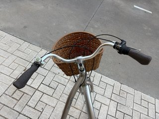 Bicicleta Paseo Monti
