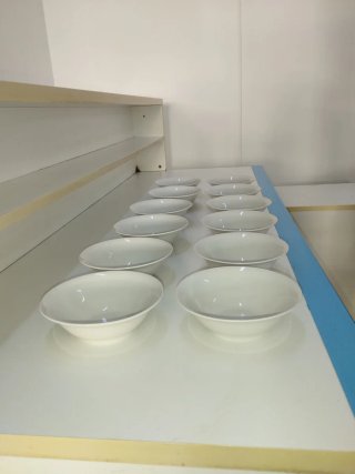 Set 12 Insalatiere Porcellana 18 cm