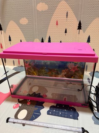 Acuario de cristal Rosa 50x25x35cm 34L