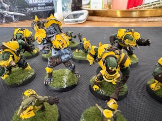 Equipo Blood Bowl Orcos Negros ProPainted