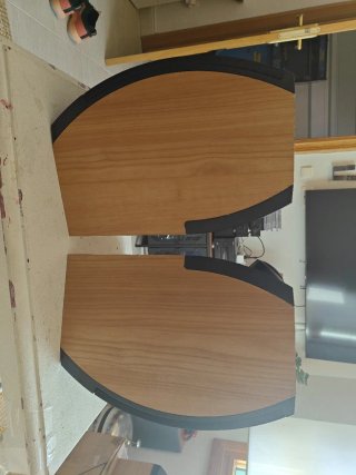 Altavoces Bose 301 V