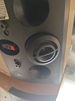 Altavoces Bose 301 V