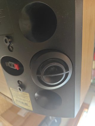 Altavoces Bose 301 V
