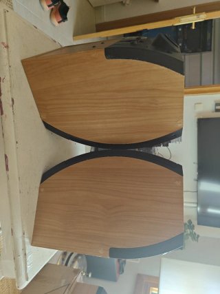 Altavoces Bose 301 V