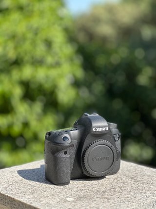 Canon EOS 6D Full Frame 20.2 MP Cámara