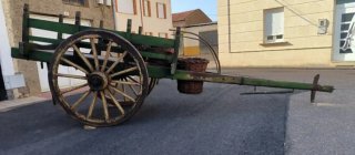 Carro de vacas antiguo