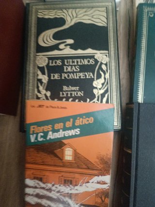 Libros de literatura británica y estadounidense