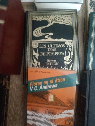 Libros de literatura británica y estadounidense