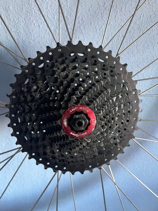 Rueda 700c para rodillo Elite + Rodillo