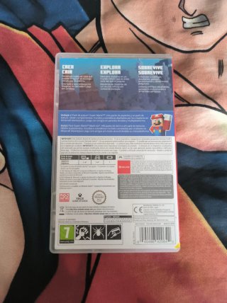 Minecraft Nintendo Switch