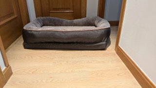Cama Perro Viscoelástica JOYELF