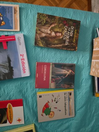 Variado de libro, en español English