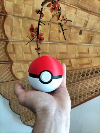 Pokeball Portanello