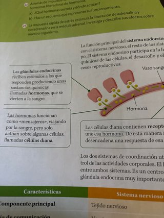 BIOLOGIA Y GEOLOGIA 3 ESO CONSTRUYENDO MUNDOS