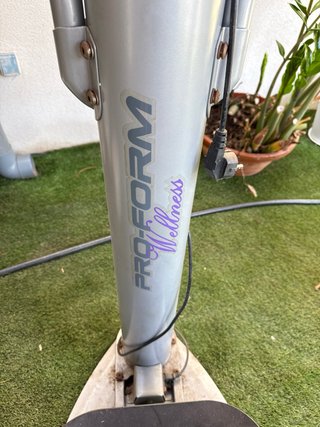 Plataforma Vibratoria Pro-Form Wellness