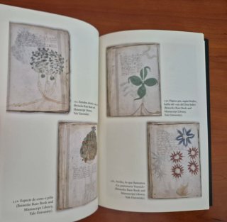 El Manuscrito Voynich, de Marcelo Dos Santos