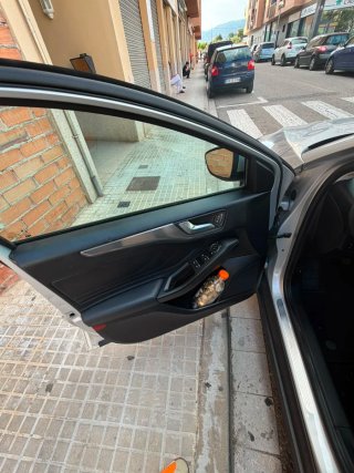 Ford Focus 2020