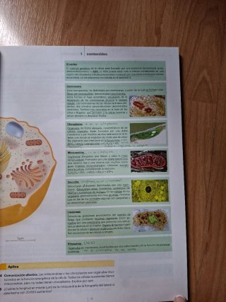 Biología y Geología, 4 ESO, Código abierto, En ...