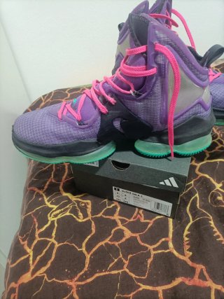 Zapatillas Baloncesto Nike LeBron Morado/Verde