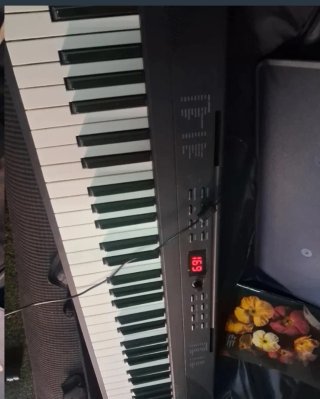 Teclado Alesis Recital Play con funda