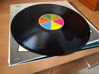 Vinilo Un Pingüino En Mi Ascensor