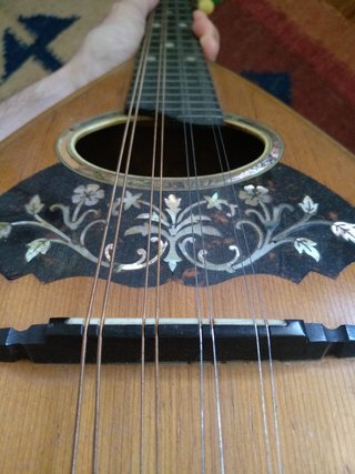 Mandolina Vega 30's
