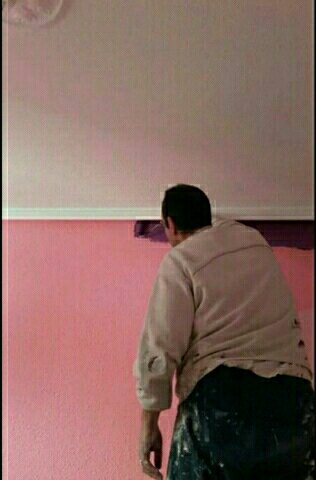 pintor económico