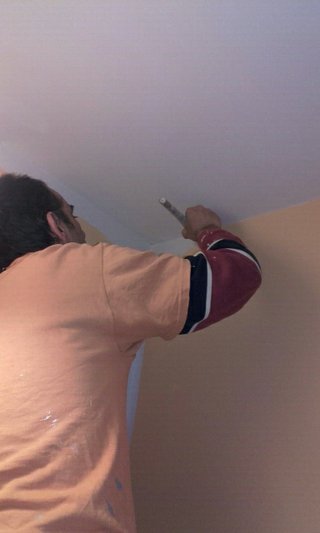 pintor económico