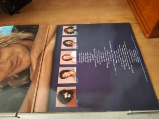 Vinilo Rod Stewart - Blondes Have More Fun
