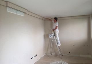 Pintor económico