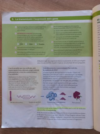 Biologia i geologia 4 ESO. Construint mons