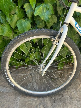 Bicicleta Montaña Blanca