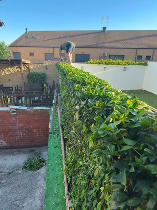 Limpieza de parcelas, jardines y terrazas.