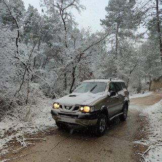 Nissan Terrano II 2004