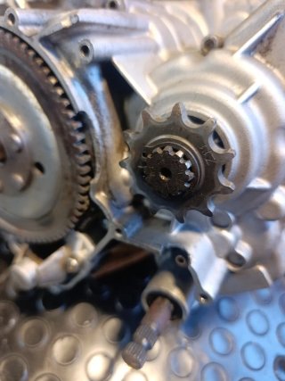 Motor AM6 con Cilindro TNT 49,9