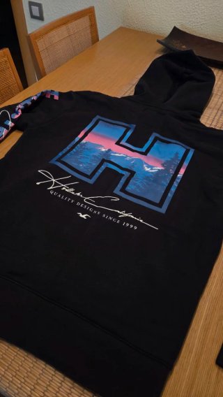 Sudadera Hollister H Diseño Montaña