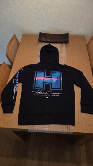Sudadera Hollister H Diseño Montaña