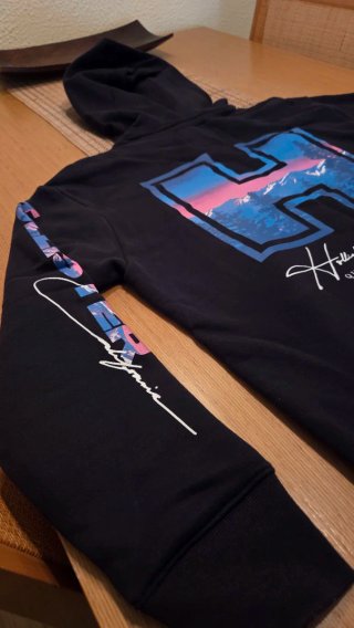 Sudadera Hollister H Diseño Montaña