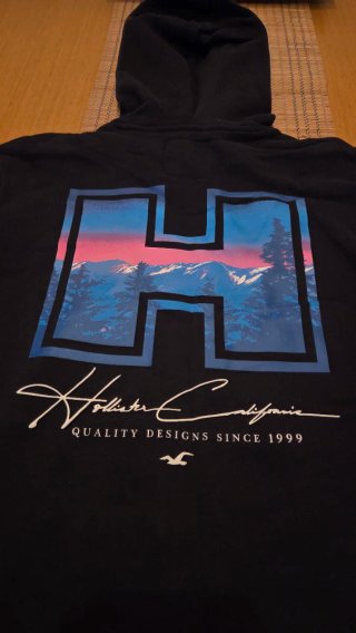 Sudadera Hollister H Diseño Montaña