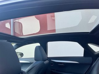Lexus NX 300H F-SPORT