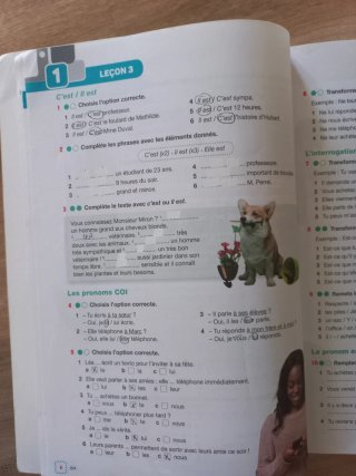 JEU DE MOTS PLUS 3 A2 CAHIER D'EXERCICES