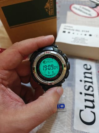 Reloj Casio Protrek Triple Sensor
