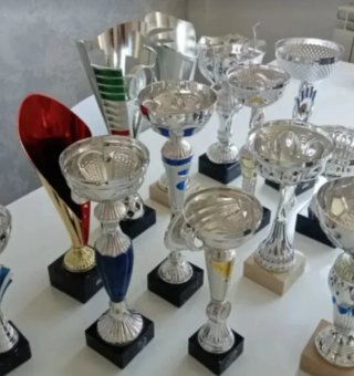 Lote 16 Trofeos Deportivos. Sin chapa